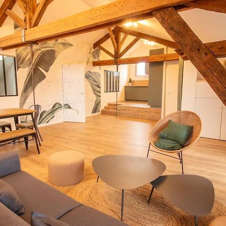 Loft Atelier Hyper Centre Albi公寓 外观 照片