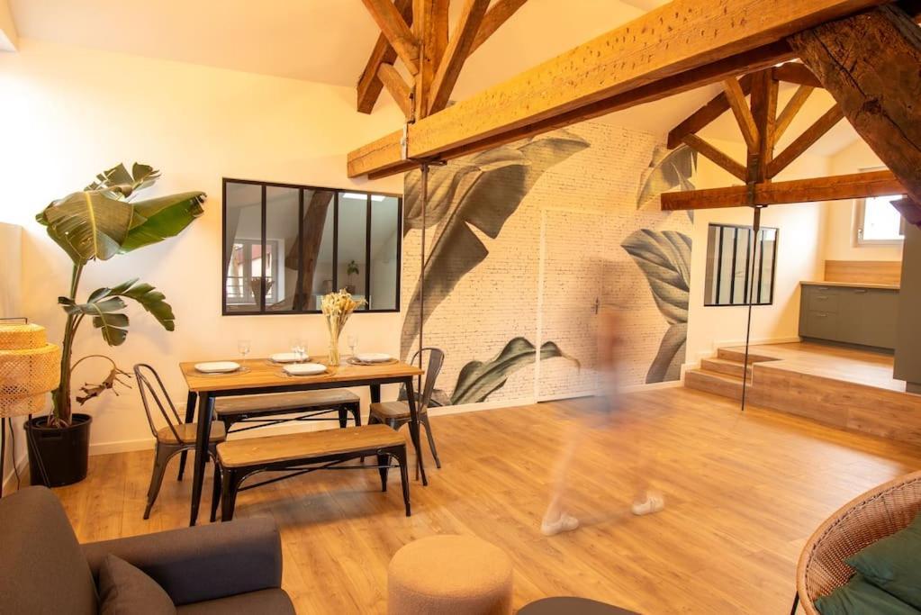 Loft Atelier Hyper Centre Albi公寓 外观 照片